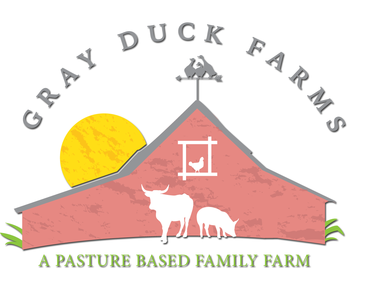 Gray Duck Farms | Organic Vegetables, Meat, Flowers | Pine City, MN